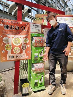 とちぎ花センターで大人気の「種ガチャ」＝いずれも栃木市で
