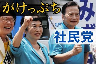 バラ 矢島祥子 濃く