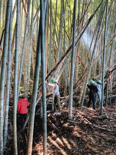 放置竹林再生へ取り組み　学生ら企画で利活用考える催し　間伐、工作など体験をSNSで発信