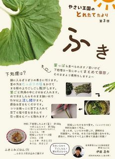 高原野菜の魅力を配信　伊藤さん、野菜ソムリエの資格生かし