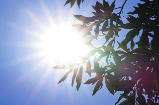 暑くなる前の熱中症対策「暑熱順化」とは？　東京は5月中旬から「前線」