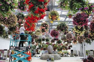＜新型コロナ＞多摩区の植物園「ＨＡＮＡ・ＢＩＹＯＲＩ」　満開の花たち　再開待ちわび