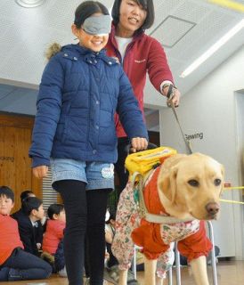 盲導犬と歩いてみよう　太田で児童６０人が特別授業