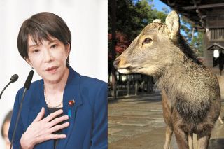 林駒夫さん死去 人形作家、人間国宝：東京新聞デジタル