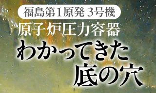 動画〉望月衣塑子記者が解説 中道改革が新ポスター発表…クラファン資金