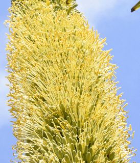 &aring;&cedil;&aring;&deg;&aelig;&curren;&ccedil;&copy;&atilde;&eacute;&raquo;&egrave;&sup2;&atilde;&egrave;&plusmn;&aring;&sup2;&atilde;&atilde;&atilde;&aelig;&deg;&aring;&aring;&sup1;&acute;&atilde;&laquo;&iuml;&frac14;&aring;&ordm;&brvbar;&atilde;&nbsp;&atilde;&atilde;&eacute;&laquo;&ccedil;&yen;