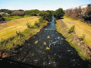 〈水紀行 首都圏を巡る〉（34）柳瀬川（清瀬市、所沢市）　城跡から清流の回廊へ