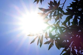 伊勢崎、桐生、館林で39.8℃…関東10カ所で39℃台を観測　都心は36.1℃で3日連続の猛暑日に