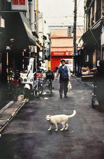 ネコのいる街　少し昔の谷中風景　写真家・須賀さんコレクション展　台東区役所で２７日まで