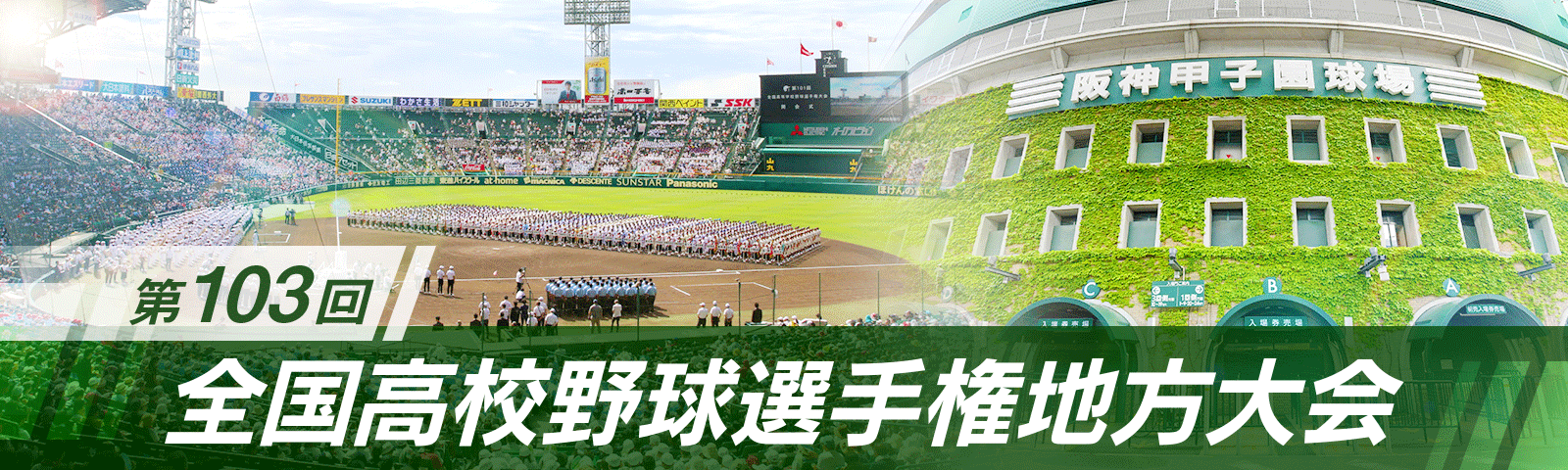 第103回全国高校野球選手権地方大会：東京新聞 TOKYO Web