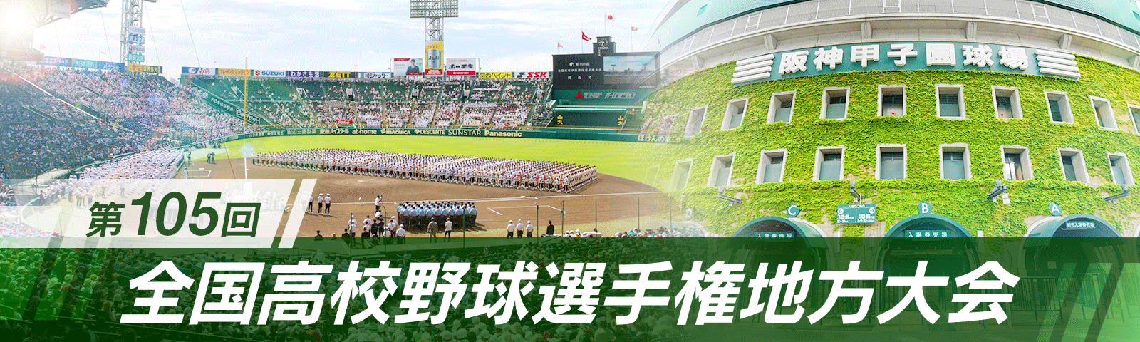 第105回全国高校野球選手権地方大会：東京新聞 TOKYO Web
