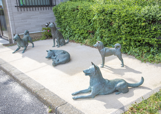 中野区役所前にあるお囲いの犬の像
