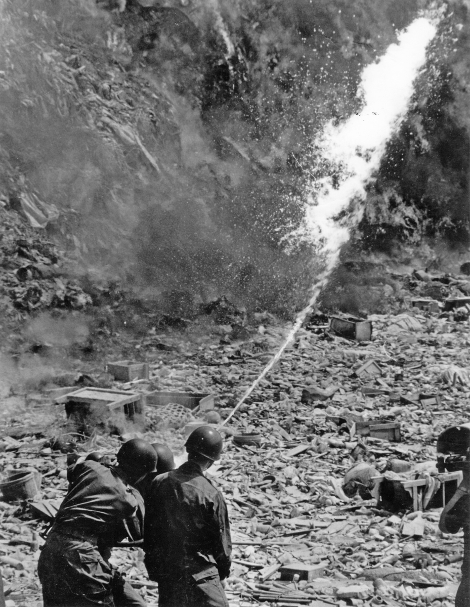 大量のハエを撲滅せよ! 決行された前代未聞の作戦 江東区vs杉並区の「ごみ戦争」〈ビジュアル戦後80年〉:東京新聞デジタル